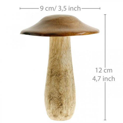 Floristik24 Pilz Mangoholz Braun, Natur Tischdeko Herbst Ø9cm H12cm 2St