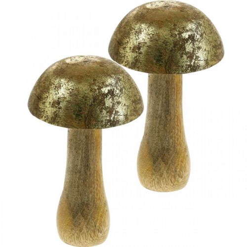 Pilz Mangoholz Gold, Natur Dekopilz Ø9cm H15,5cm 2St
