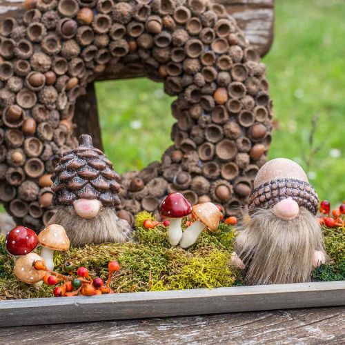 Floristik24 Pilze sortiert 3cm x 5cm am Draht 48 St