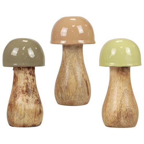 Floristik24 Holzpilze Deko Pilze Holz Beige, Grün Ø5cm H10,5cm 6St