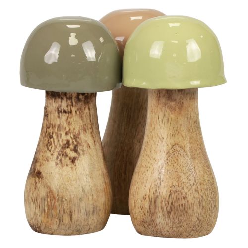 Floristik24 Holzpilze Deko Pilze Holz Beige, Grün Ø5cm H10,5cm 6St