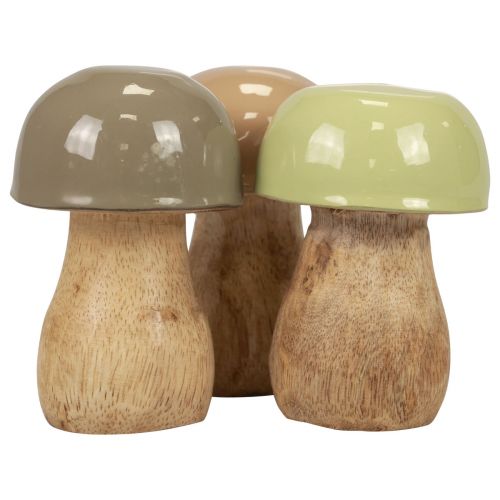 Floristik24 Holzpilze Deko Pilze Holz Beige, Grün Ø5cm 7,5cm 12St