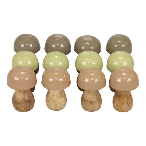 Floristik24 Holzpilze Deko Pilze Holz Beige, Grün Ø5cm 7,5cm 12St