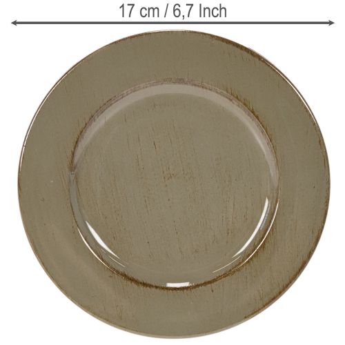 Kleine Dekoteller aus Kunststoff 17cm Dunkelgrün 6er-Set | Floristik24.ch