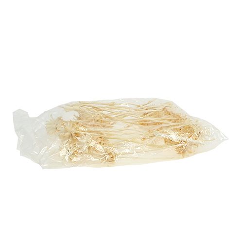 Artikel Plumosum 1 gebleicht 25St