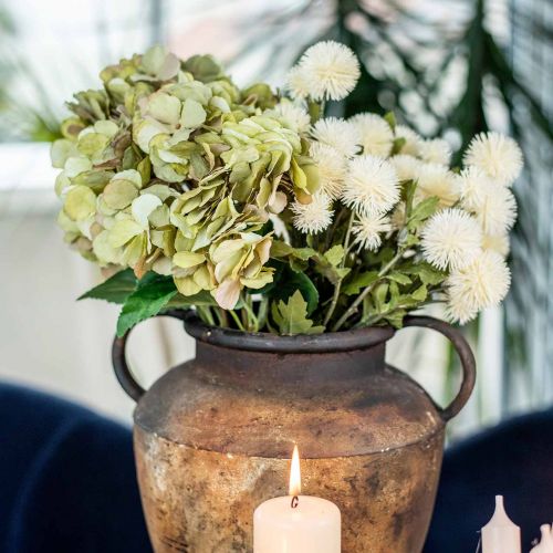 Floristik24 Pompomzweig Creme Deko Zweig Herbst 55cm 4St