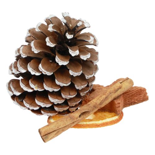 Floristik24 Potpourri Weihnachten Orangenscheiben Zapfen Zimt Holz 150g