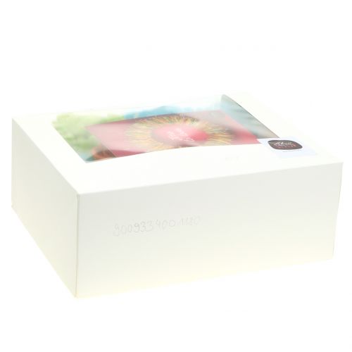 Floristik24 Bastelset Lehner Wolle Frühlingsbunt