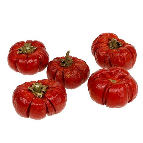 Floristik24 Pumpkin Minis Getrocknete Früchte Rot 250g