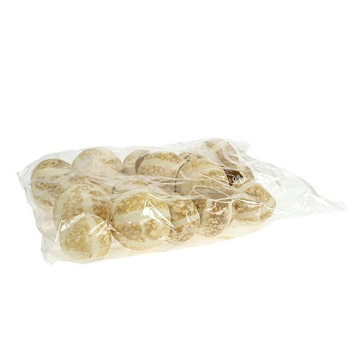 Floristik24 Pumkin Cup gebleicht 20St