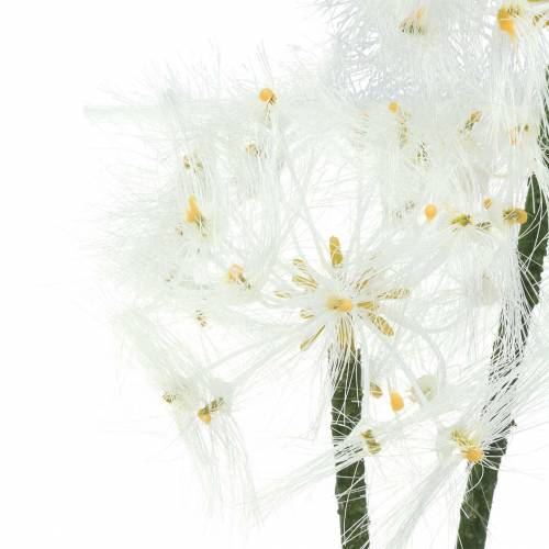 Artikel Künstliche Wiesenblume Riesenpusteblume Weiß 57cm