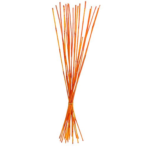 Floristik24 Rattan Stiele Orange 100cm 20St.