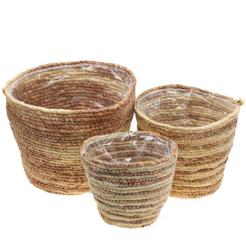 Floristik24 Pflanzkorb Rattan Natur/Braun Ø26/22/16cm 3St