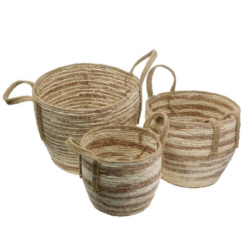 Floristik24 Rattankorb Natur/Braun Ø40/32/26cm 3St