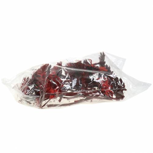 Repens Rosette Rot 8cm - 9cm 25 St | Floristik24.ch