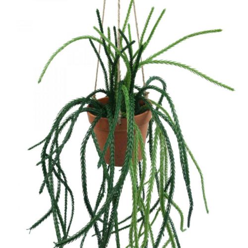 Rhipsalis künstlich Korallenkaktus Hängeampel H87cm