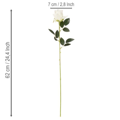 Künstliche Rosen Weiss mit langem Stiel 62 cm im 12er-Set | Floristik24.ch