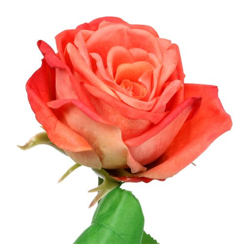 Artikel Rose Kunstblume Lachs 67,5cm