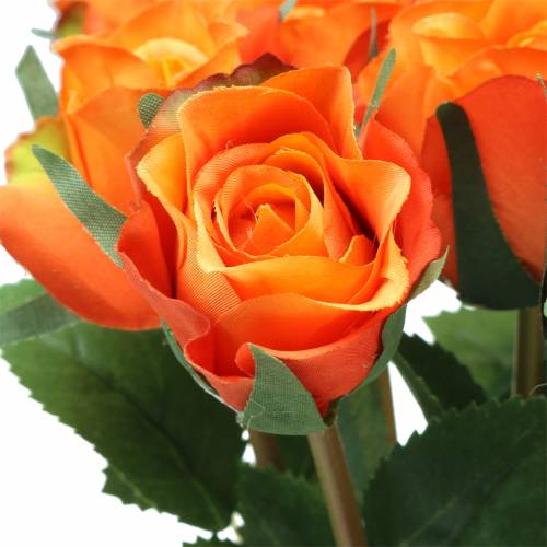 Floristik24 Rose Orange 42cm 12St