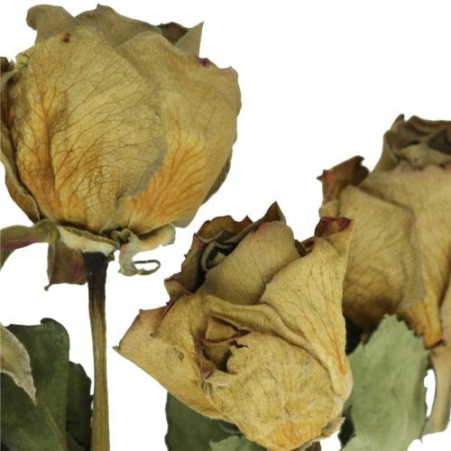 Trockenblume Rose, Valentinstag, Trockenfloristik, rustikale Deko-Rosen Gelb-Violett L45–50cm 5St