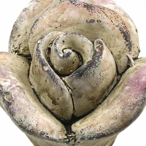 Beton-Rose Grau, Violett Ø7,7 H5,5cm 3St