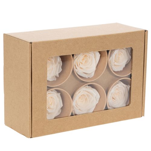 Artikel Rosenköpfe konservierte Blüten für edle floristische Arrangements 5cm 6St