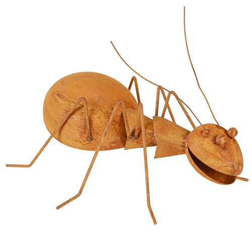 Floristik24 Rostdeko Ameise Metall Deko Edelrost Figur Garten 21,5cm