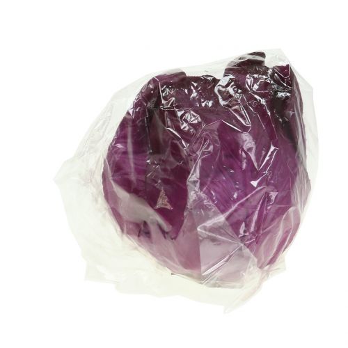 Rotkohl künstlich Real-Touch Ø12cm | Floristik24.ch