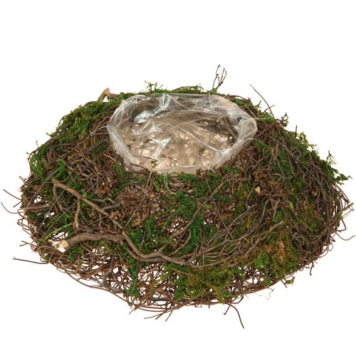 Floristik24 Runde Pflanzschale aus Reben mit Moos und Folie zur Dekoration