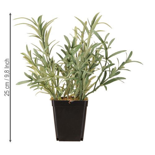 Artikel Salbei im Topf Salvia Lavandulifolia Künstlich H25cm