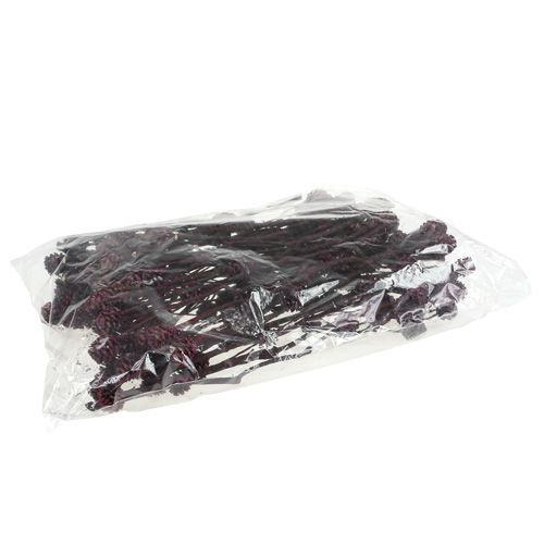 Floristik24 Salignum Zweige mit Zapfen Berry 25 St