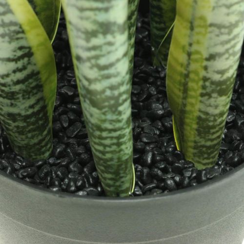 Floristik24 Sansevieria, Kunstblume, Bogenhanf im Topf H50cm Ø14cm