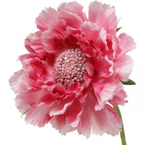 Artikel Künstliche Blumendeko, Skabiose Kunstblume Rosa 64cm Bund à 3St