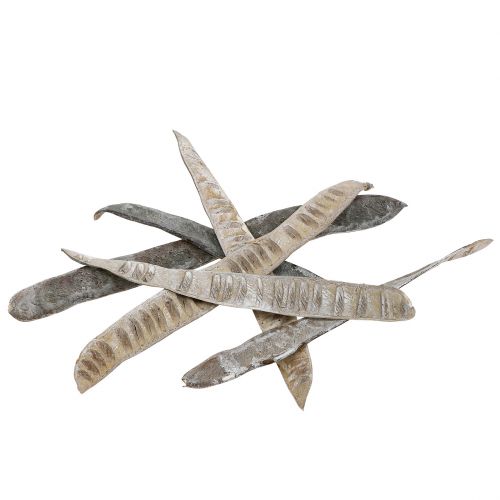 Artikel Scalettaschote Weiß gewaschen 25 St