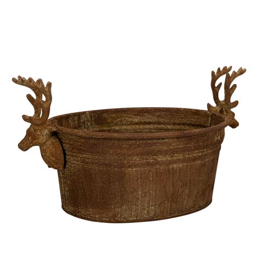 Dekoschale oval Metall Rostoptik mit Rentierkopf 41cm online kaufen | Floristik24.ch