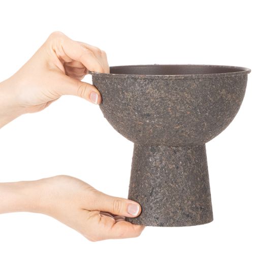 Runde Pflanzenschale aus Metall mit Sockel 18 cm Braun Anthrazit | Floristik24.ch