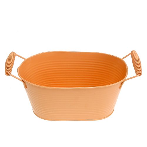 Floristik24 Schale oval Pastell Orange 20cm x 12cm H9cm