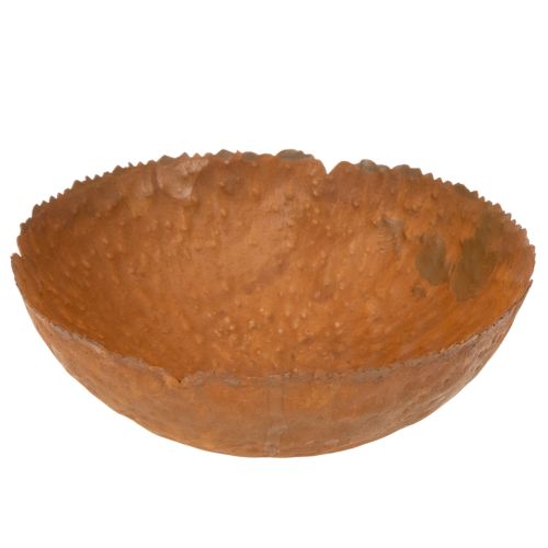 Metallschale rund Rostoptik strukturierte Oberfläche 20 cm