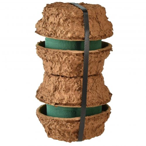 Artikel Schale Blumengesteck Nass Steckschaum H6cm Ø14cm 4 St