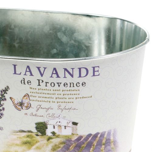 Artikel Pflanzschale Lavendel oval 22,5cm x 13,5cm H11cm