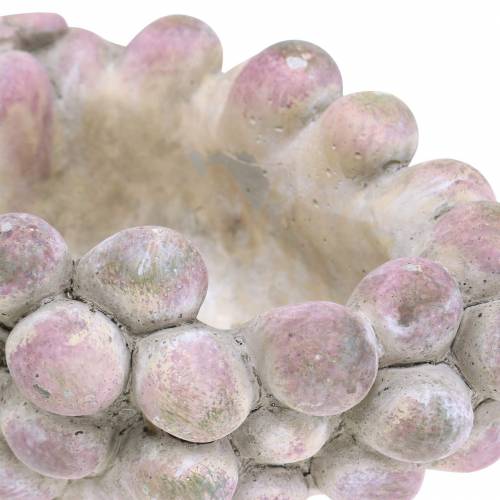 Floristik24 Deko-Schale Weintrauben Grau Lila Creme 19×14cm H9,5cm