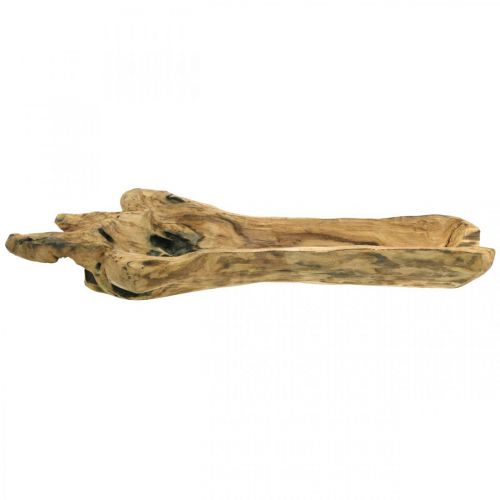 Floristik24 Dekoschale Paulownia Holz, Blumentablett, Holzgefäß L58cm H7–8cm