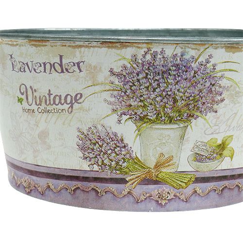 Floristik24 Pflanzschale 3-Set rund Lavendel Ø17-23cm