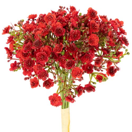 Künstliches Schleierkraut Bouquet rot 30 cm 10 Stück