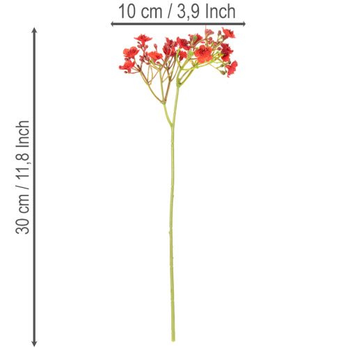 Künstliches Schleierkraut Bouquet rot 30 cm 10 Stück | Floristik24.ch
