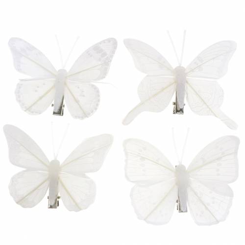 Floristik24 Federschmetterling auf Clip Weiß 7-8cm 8 St