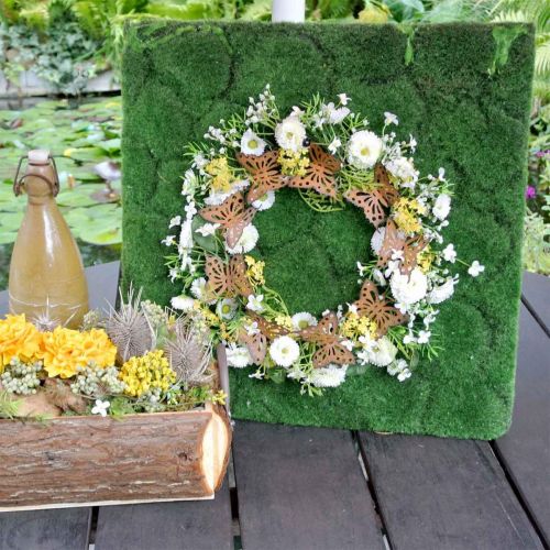 Floristik24 Schmetterlings-Deko, Frühlingsdeko zum Hängen, Kranz-Ring, Edelrost Ø30cm 2St