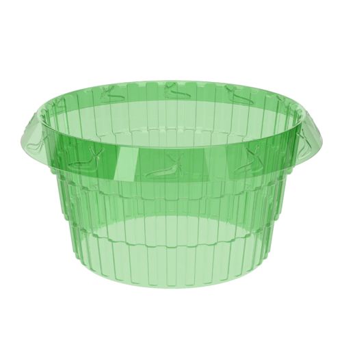 Schneckenschutzring aus GRS-zertifiziertem Recyclingkunststoff, transparent, Ø 23 cm, 12 Stück | Floristik24.ch