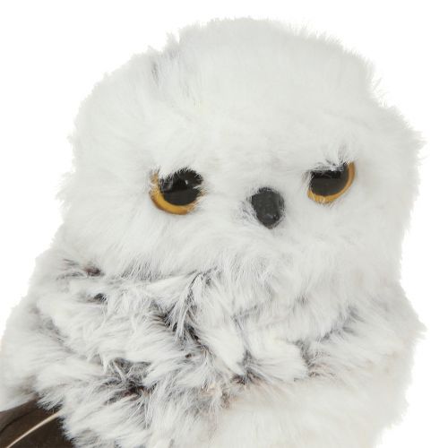 Floristik24 Schneeeule Deko Figur Eulen Paar Weiß Braun H12cm 4 St