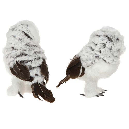 Floristik24 Schneeeule Deko Figur Eulen Paar Weiß Braun H12cm 4 St